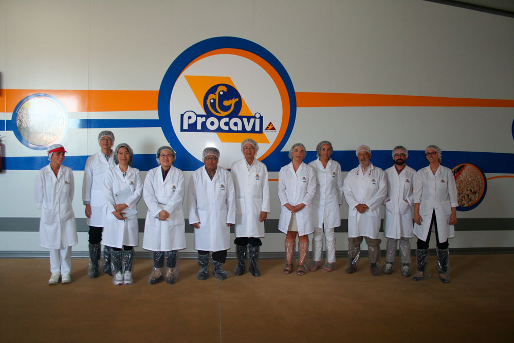 Procavi se examina para exportar a Tailandia